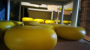 Rustic Kitchen and Bar - Medicine Hat